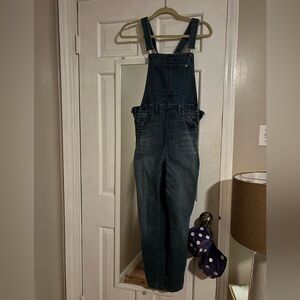 Free People We the Free  Denim Overalls